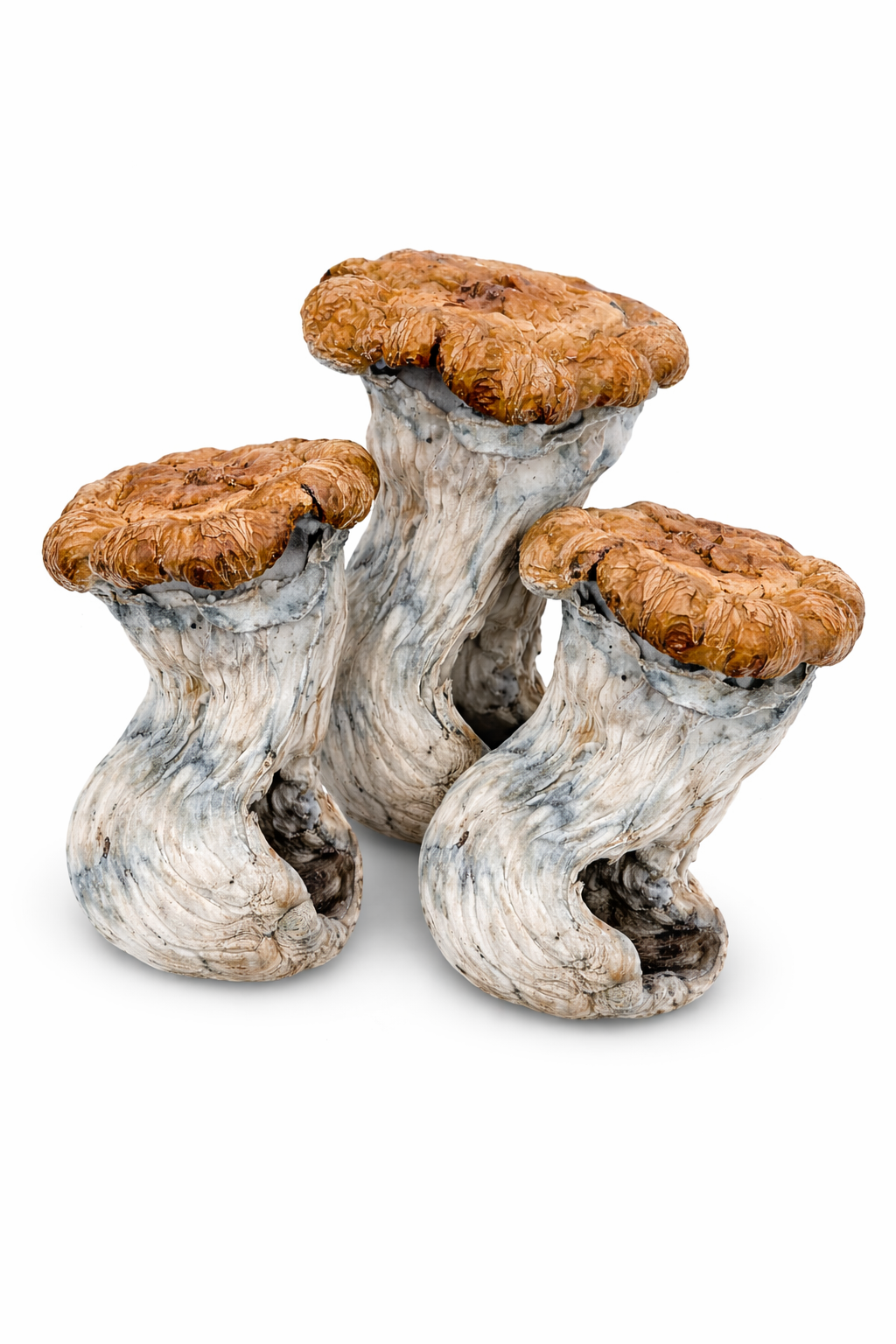 Hill Billy - Oz - Image 2