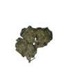 Lemon Sherbet - Image 4