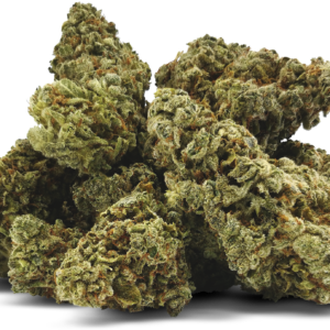 Tiger Melon - Indica