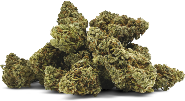 Tiger Melon - Indica