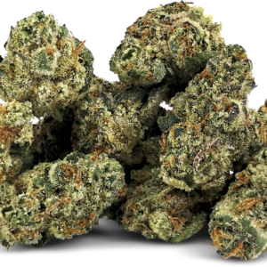 Hawaiian Melon - Hybrid