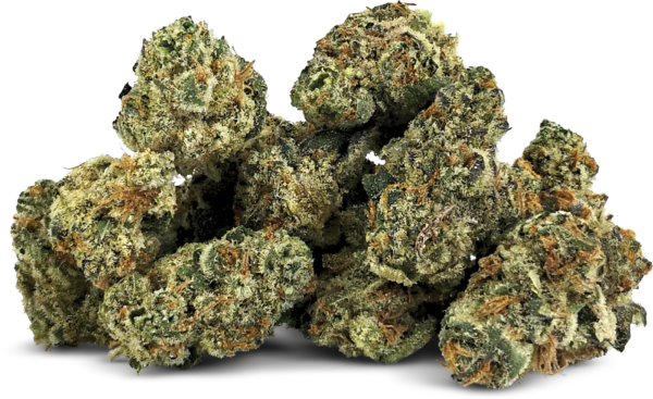Hawaiian Melon - Hybrid
