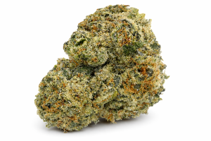 Hawaiian Melon - Shop Exotic Hybrid Cannabis Strain Online Shroom Garden Canada and United States
