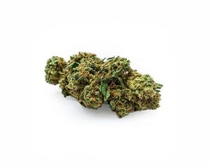 AAAA Hella Jelly - Purchase energizing sativas online on Shroom Garden Canada and United States