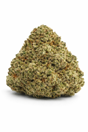 Tiger Melon - Shop Top-Shelf Indica Online on Shroom Garden