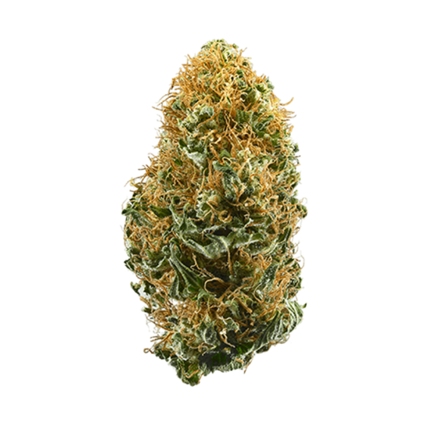 White Widow - Sativa