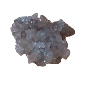 Pink Champagne Rock