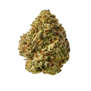 Birthday Cake - Indica