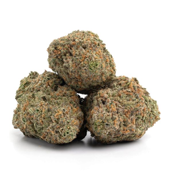 Blue Hawaiian - Hybrid
