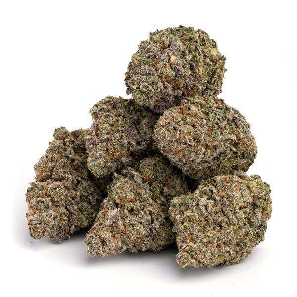 Blue Lobster - Indica