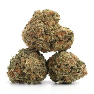 Diesel Rockstar - Hybrid