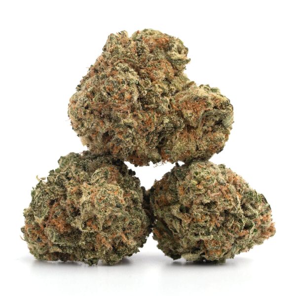 Diesel Rockstar - Hybrid