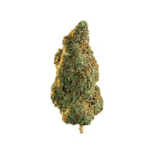 Gorilla Glue - Hybrid