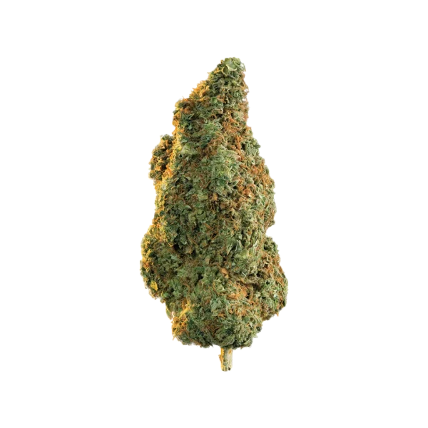 Gorilla Glue - Hybrid