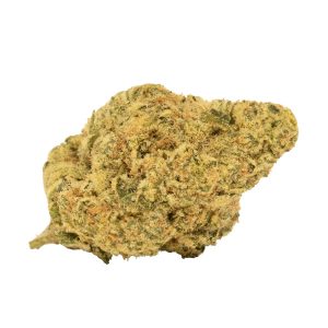 Lemon Meringue - Sativa
