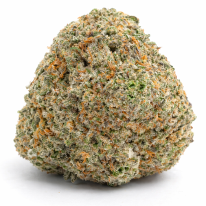 AAAA Blue Hawaiian - Hybrid