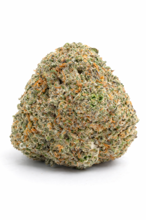 Blue Hawaiian - order premium hybrid strains online on Shroom Garden Canada and United States