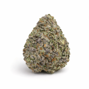 AAAA Blue Lobster - Indica