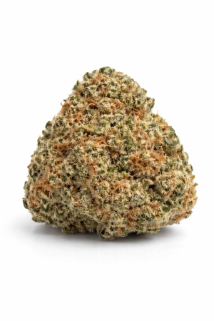 Diesel Rockstar - buy exotic hybrid strain online on Shroom Garden Canada and United States