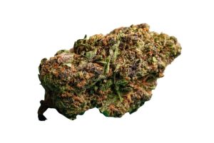 Forbidden Fruit - shop AAAA premium cannabis online with Shroom Garden Canada and United States
