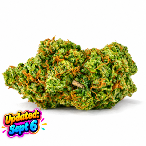 Red Congo - Sativa