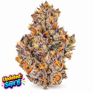 White Rhino  - Sativa
