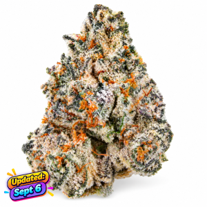 White Truffle- Sativa