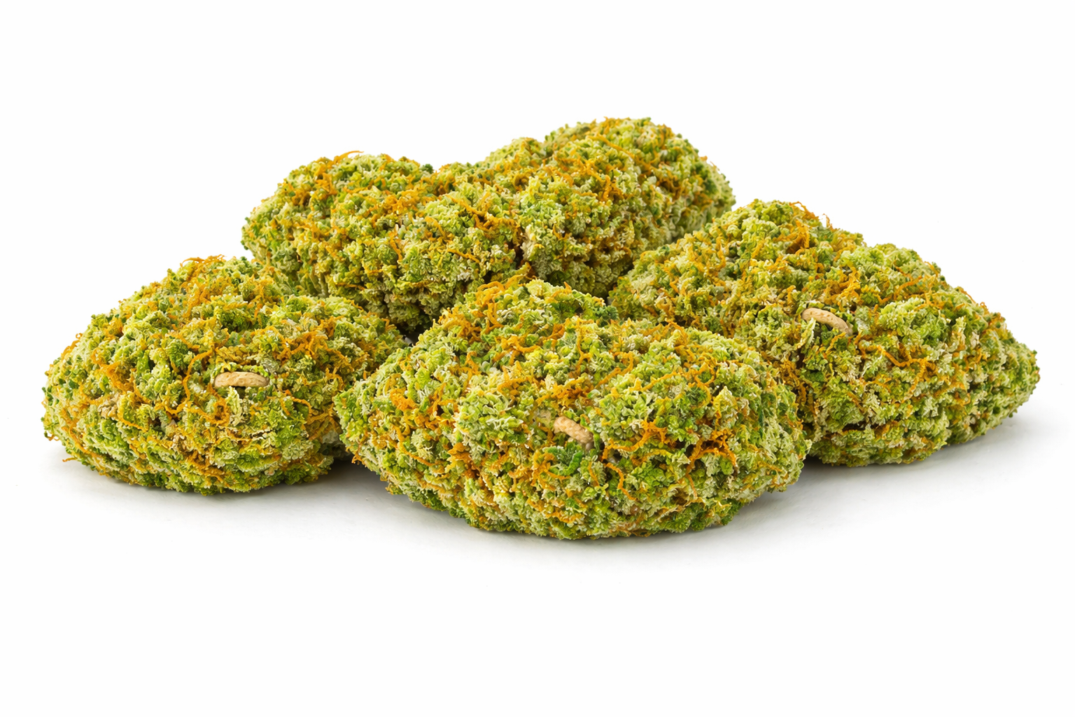 Red Congo - Sativa - Image 3