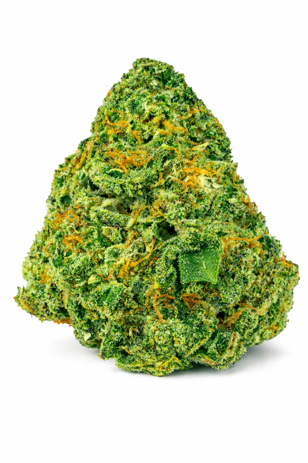 Sunset Cake - Hybrid