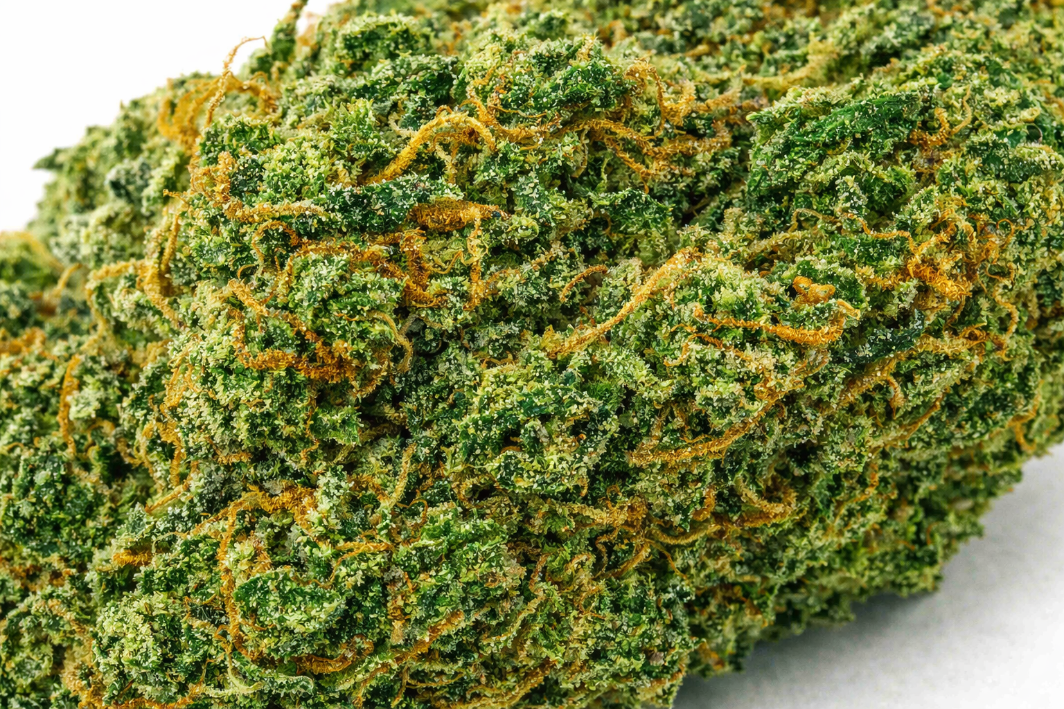 Sweet Berry - Hybrid - Image 2