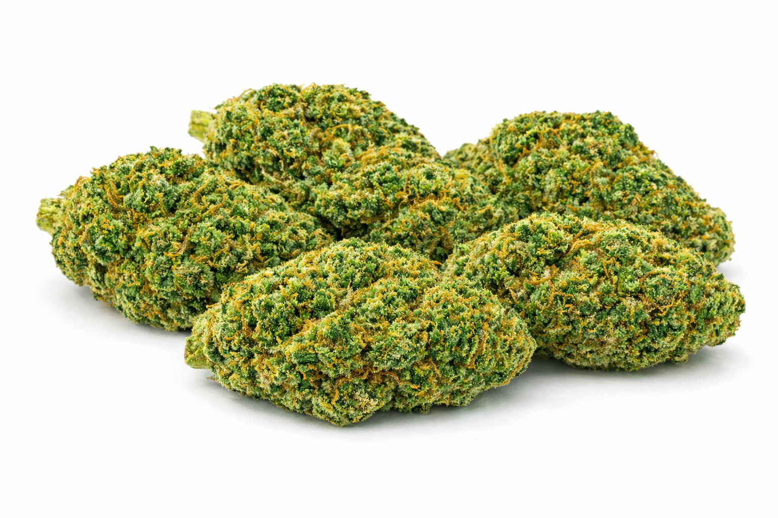 Sweet Berry - Hybrid - Image 3