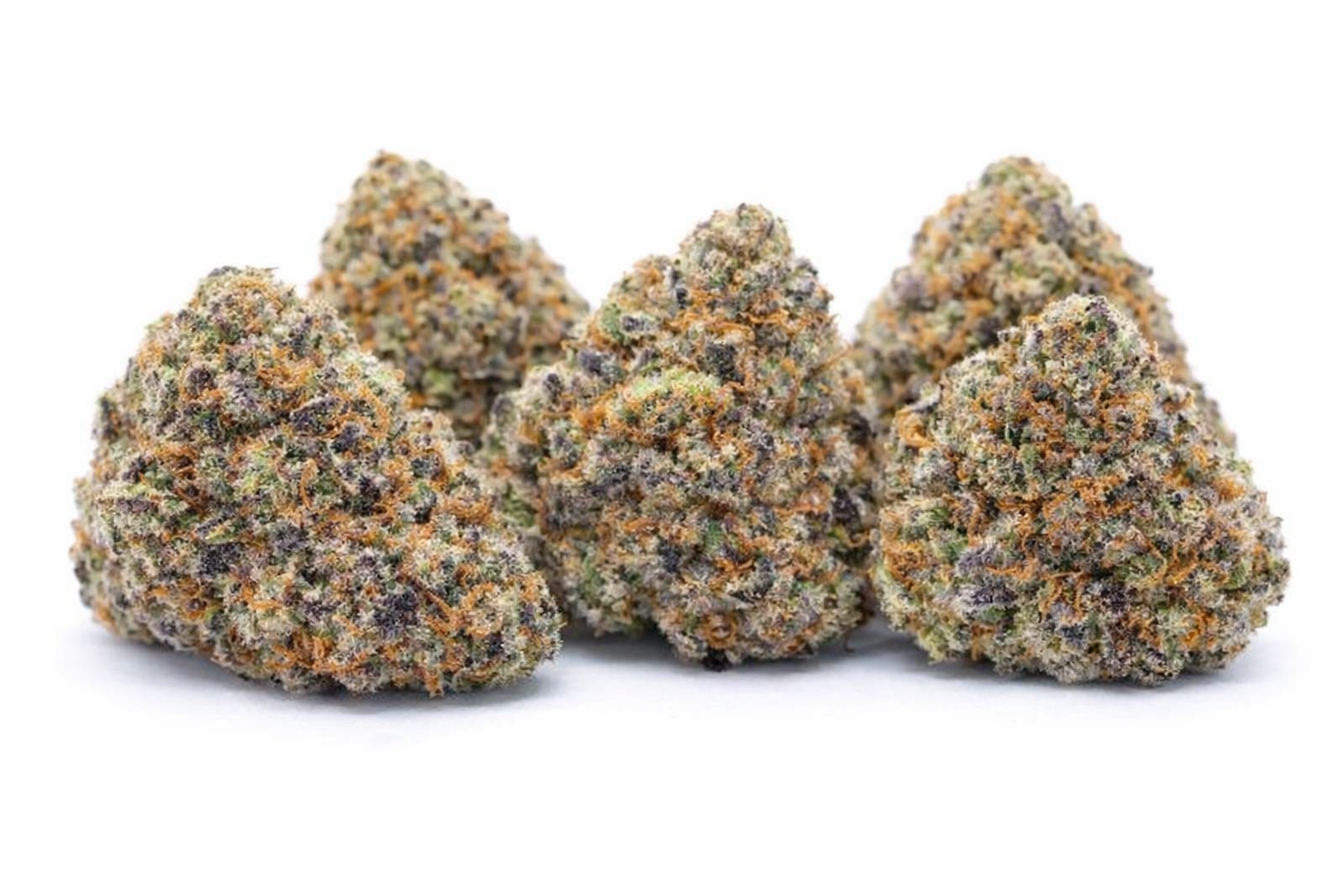 TKO - Indica - Image 2