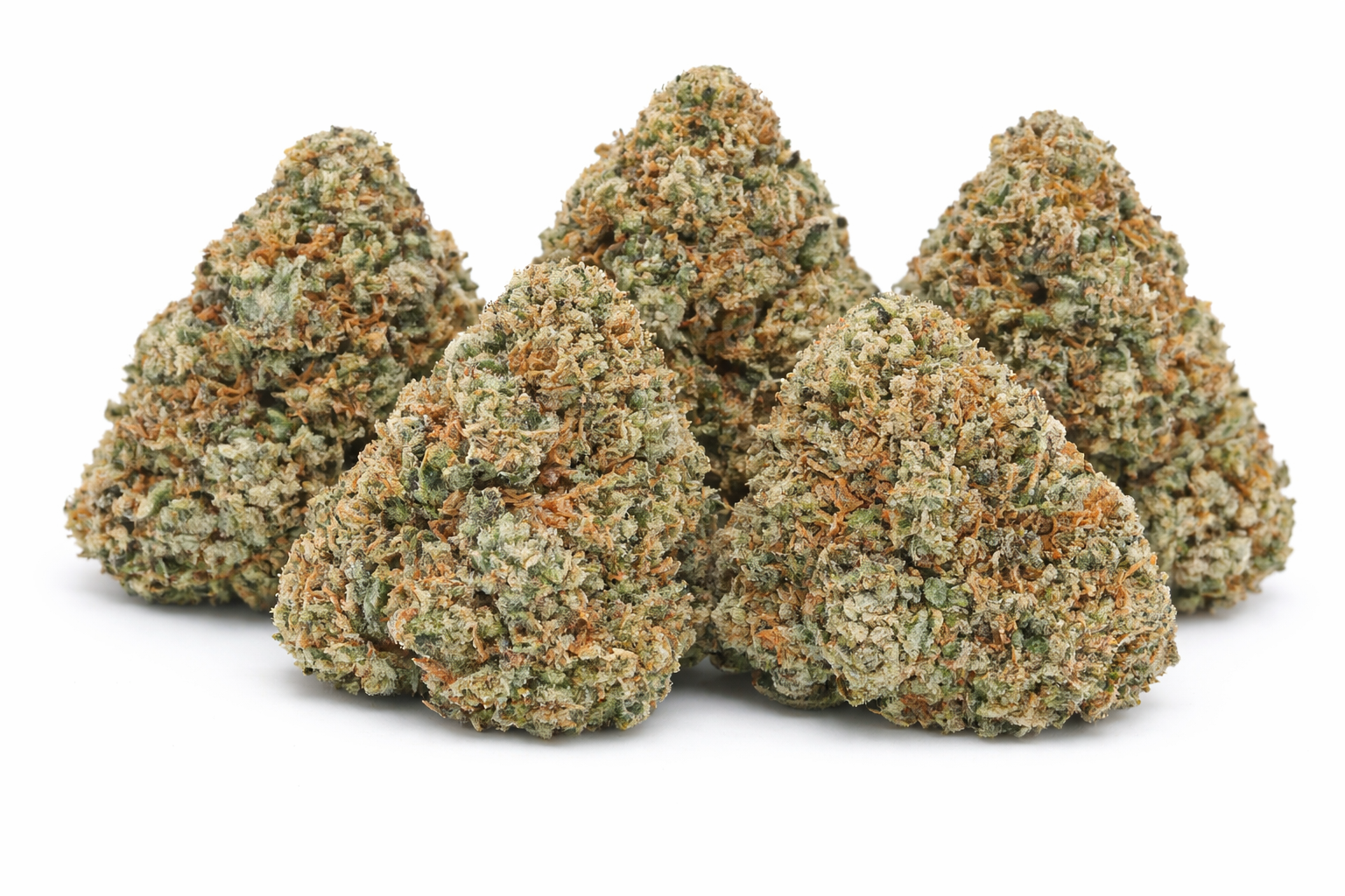 Ultra Pink - Indica - Image 2