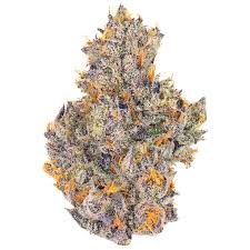 White Rhino  - Sativa