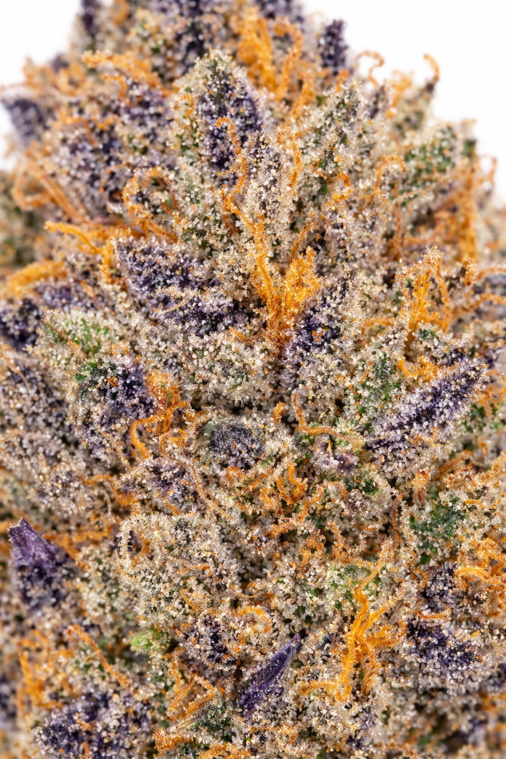 White Rhino - Sativa - Image 3