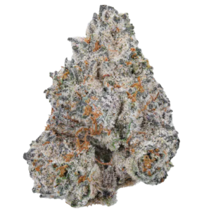 White Truffle- Sativa