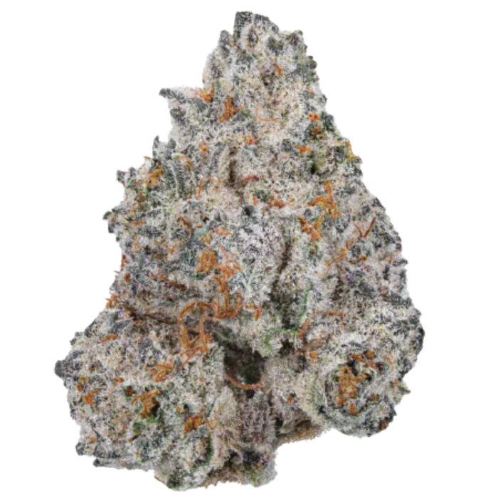 White Truffle- Sativa