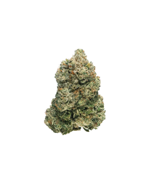 Alien Candy - Premium Hybrid Cannabis on Shroom Garden shipping in Canada and United States