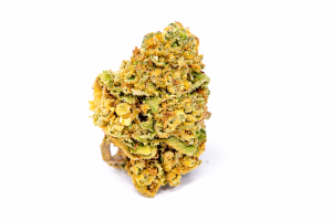 Dark Star - premium cannabis quality low price on Shroom Garden shipping to Canada and United States