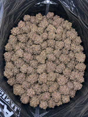 Buy AAAA Mac Popcorn online – premium cannabis flower product