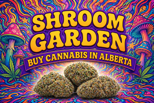 Buy Cannabis Online in Alberta | Shroom Garden