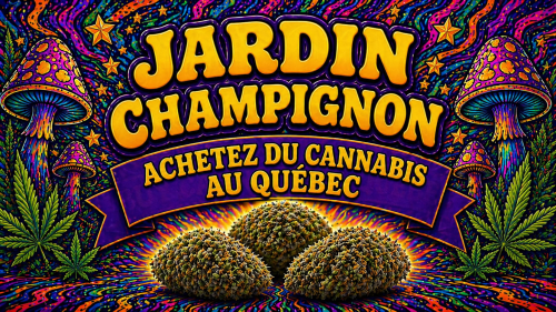 Acheter du Cannabis en Ligne au Québec - Shroom Garden