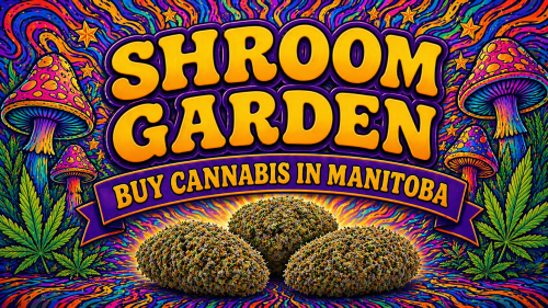 Buy Cannabis Online in Manitoba - Shroom Garden