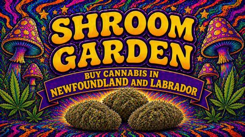 Buy Cannabis Online in Newfoundland and Labrador - Shroom Garden