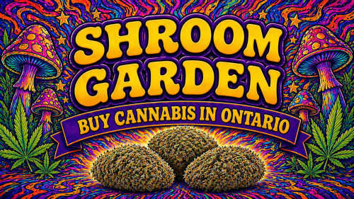 Buy Cannabis Online in Ontario - Shroom Garden