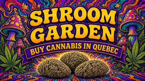 Buy Cannabis Online in Quebec - Shroom Garden