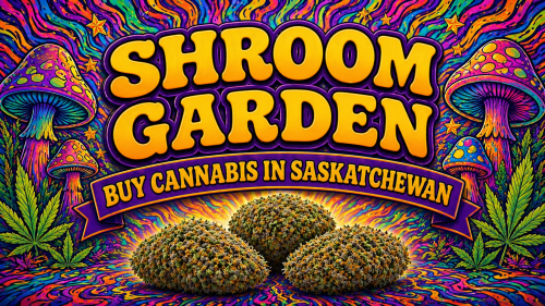 Buy Cannabis Online in Saskatchewan - Shroom Garden
