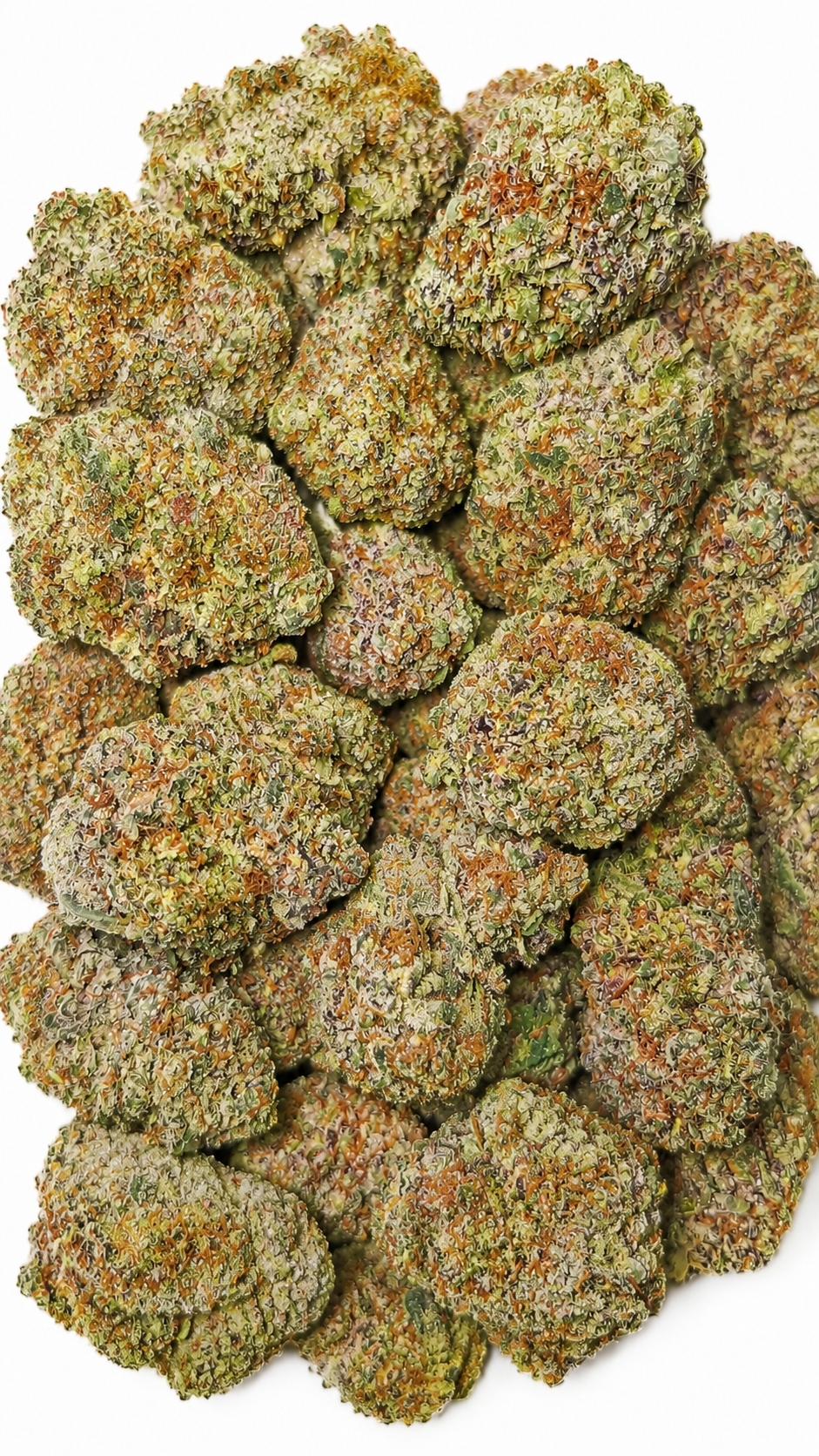 Purple Dank Hybrid Strain | Buy Premium Purple Dank Cannabis Online Canada