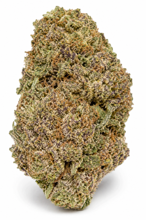 Purple Dank Hybrid Strain | Buy Premium Purple Dank Cannabis Online Canada