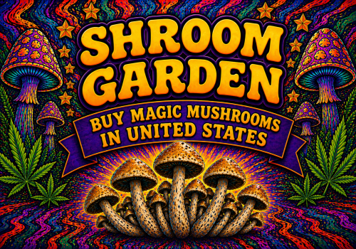 Buy Magic Mushrooms Online in the United States - Shroom Garden